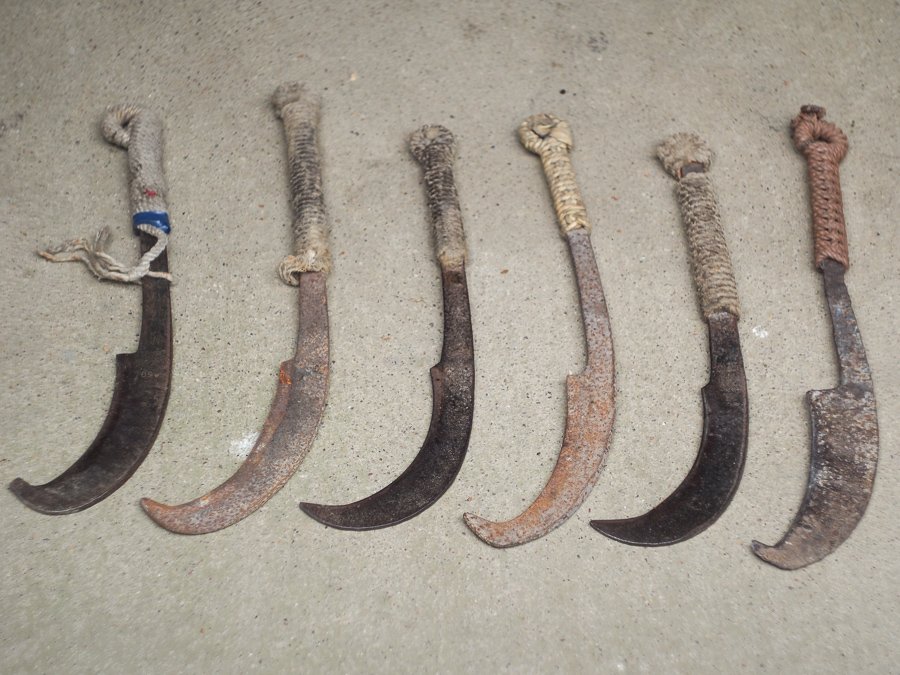 🏞️ 이와테 현립 농업 교류 공원・농업 과학 박물관(이와테켄리쓰 노교 후레아이 코엔・노교 카가쿠 하쿠부쓰칸) 이미지 4